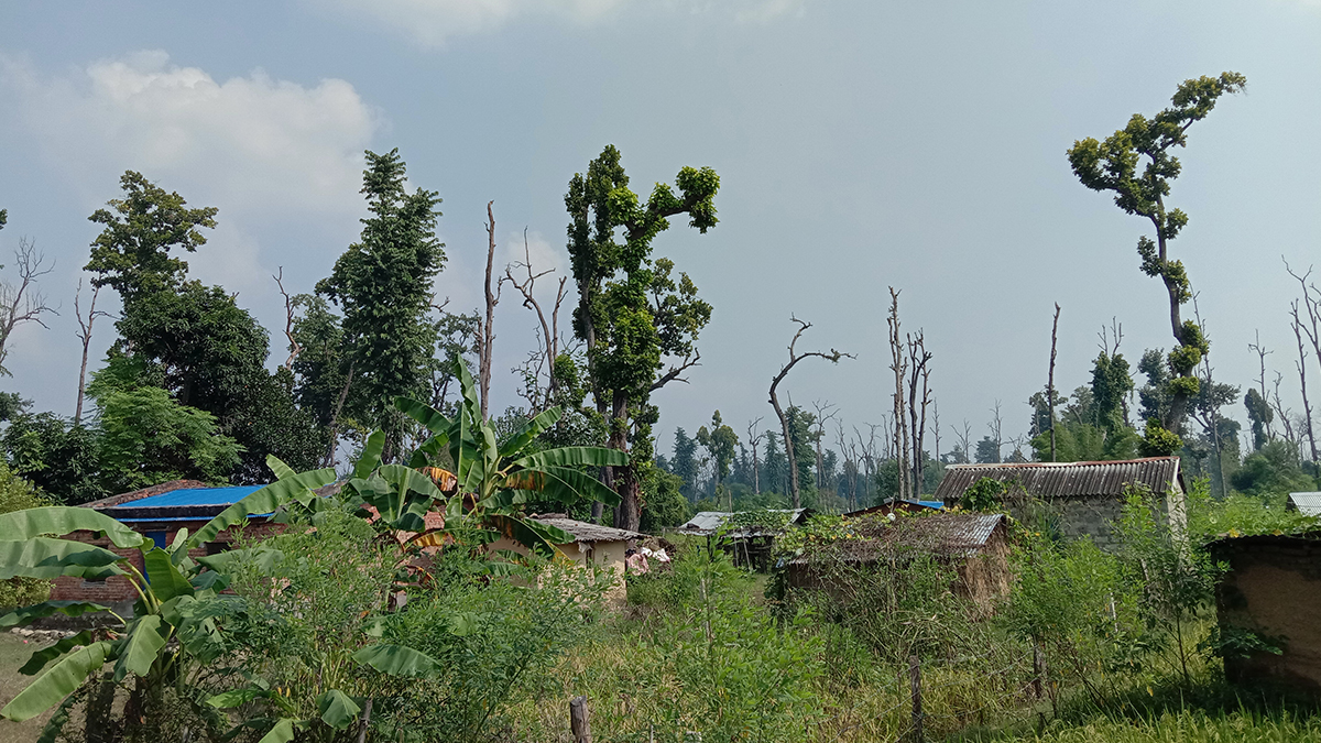 भोट बैंकको रुपमा सुकुम्वासी शिविर